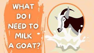 10 MUST HAVES TO MILK A GOAT (what do I need to milk a goat? goat milking supplies)