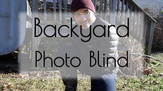 Build A Backyard Photo Blind - Backyard Wildlife Photography Part 1