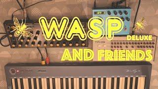 Behringer WASP demo // no talking with Strymon Bigsky Eventide Rose and Roland TR09