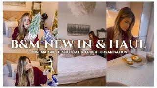 NEW IN B&M & HAUL + TESCO  GROCERY SHOP & FRIDGE ORGANISATION