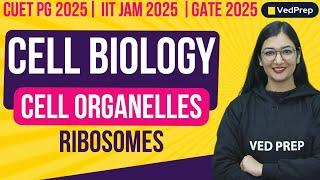 Cell Biology | Cell Organelles | Ribosomes | CUET PG | IIT JAM | GATE | VedPrep Biology Academy