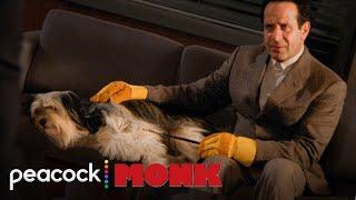 Mr. Monk Solves The Case Of The Puppy Murders | Monk