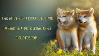 КАК БЫСТРО И ХУДОЖЕСТВЕННО ОБРАБОТАТЬ ФОТО ЖИВОТНЫХ В PHOTOSHOP