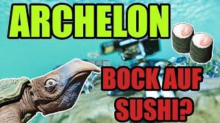 Archelon | ALLES was du wissen musst | Diplo der Meere |  Asa | Guide