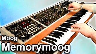 MOOG MEMORYMOOG - FM Bells  & Envelopes | Ambient Soundscape 【SYNTH DEMO】