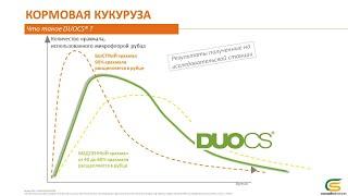 Лучшие гибриды кукурузы на силос. Когда собирать? Технология DUO Спикер Венсан Бильяр (Франция)