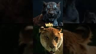 bormean tiger vs liger #animalsbattle #animals #bormeantiger #liger #edit #wildlife