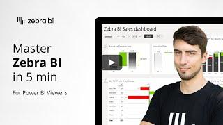 Quick Start for Power BI Viewers: Mastering Zebra BI Features in 5 Minutes