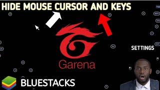 HOW TO HIDE MOUSE CURSOR AND KEYS IN BLUSTACKS | LIQUID GAMER