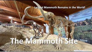 The Mammoth Site – Hot Springs, SD  |  A 4K Museum Walking Tour