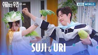 Cabbage Angel & Master Radish [Suji & Uri : EP.46] | KBS WORLD TV 240610