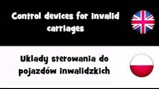 TRANSLATE IN 20 LANGUAGES = Control devices for invalid carriages