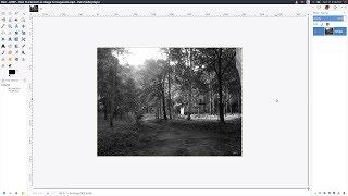 GIMP: How to Convert an Image to Grayscale