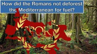 How Did Romans Manage to Not Cut Down All the Trees For Fuel?