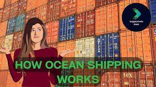 How Ocean Shipping Works