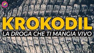 L'Incubo del Krokodil, la DR0GA Che Ti Mangia Vivo