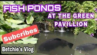 FISH PONDS AT THE GREEN PAVILLION. #OFWLIFE #Betchie'sVlog