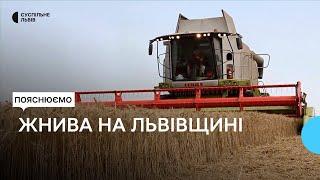 На Львівщині жнива стартували на два тижні раніше