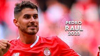 Pedro Raul 2023 - Amazing Skills, Assists e Goals | HD