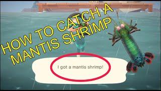 How To Catch a Mantis Shrimp in ACNH