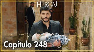 Hercai - Capítulo 248