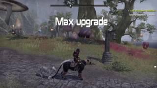 Max mount vs basic mount ESO