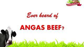 Know more about our Angas Breeding Program!