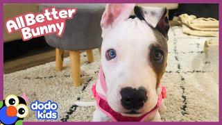 Dog With Stuck Muscles Needs Our Help! | Dodo Kids | All Better