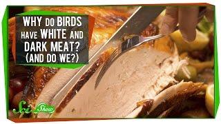 Why Do Birds Have White And Dark Meat? (And Do We?)