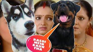 Roxy To Rashi Ben. Rasoi mein kaun tha || Dog can talk part 56 || Rottweiler Husky, Review reloaded