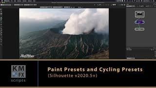 Paint Presets and Cycling Presets - v2020.5+