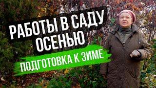 Деревья и кустарники осенью. Подготовка сада к зиме