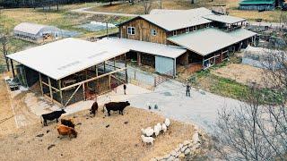 I put a POLE BARN in my Backyard + Packed it with Animals