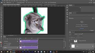 Photoshop   Copy + Paste Keyframes