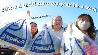 going to a DIFFERENT thrift store EVERY day for a WEEK *huge thrift haul*