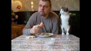 Как мой кот, просит кушать?   Butch cat chooses sausage?