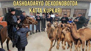 Qashqadaryo Dexqonobotda Norqobil xoji boboning katta kupkarisi 28.10.2024