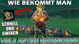 Schnell und einfach viele Antike Riesenkerne erhalten! ► Patch 1.6.0 - Zelda Breath of the Wild