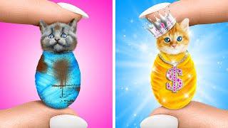 *Saved Poor Kitten!* Extreme GADGETS for Your PET! Must-Have Tricks for Dogs and Cats by Double Jam