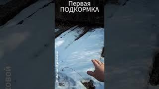 Успейте внести удобрения ПО ПОСЛЕДНЕМУ СНЕГУ! Потом будет поздно / с Мариной Гусаковой ️20 марта️