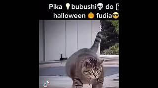 Pika bubu halloween