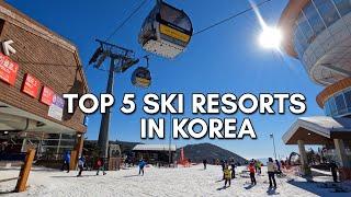 Korea's Top 5 Ski Resorts  Ultimate Guide to Korea's Best Mountains for Skiing and Boarding