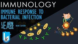 Immune Response to Bacterial Infection (Basics to the Core)