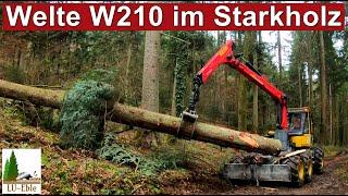 Welte W210 im Starkholz | Forstservice Schnaitter