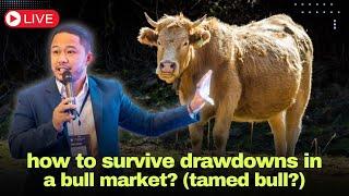How to survive a bull market drawdown?
