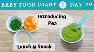 Baby Food Diary | Day 79 | Pea, Pumpkin, Rice! | Baby Food | 8m+