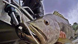 GEOBASS: Special GoPro Edition from Papua New Guinea