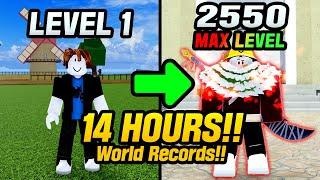 Blox Fruits Noob To Max Level in Just 14 hours! [World Record]