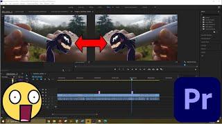 How To Flip An Image Or Video In Adobe Premiere Pro | Mirror Image Horizontal Or Vertical Flip