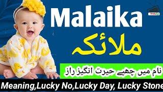 Malaika Name Meaning In Urdu Hindi (Girl Name شہباز) Urdusy